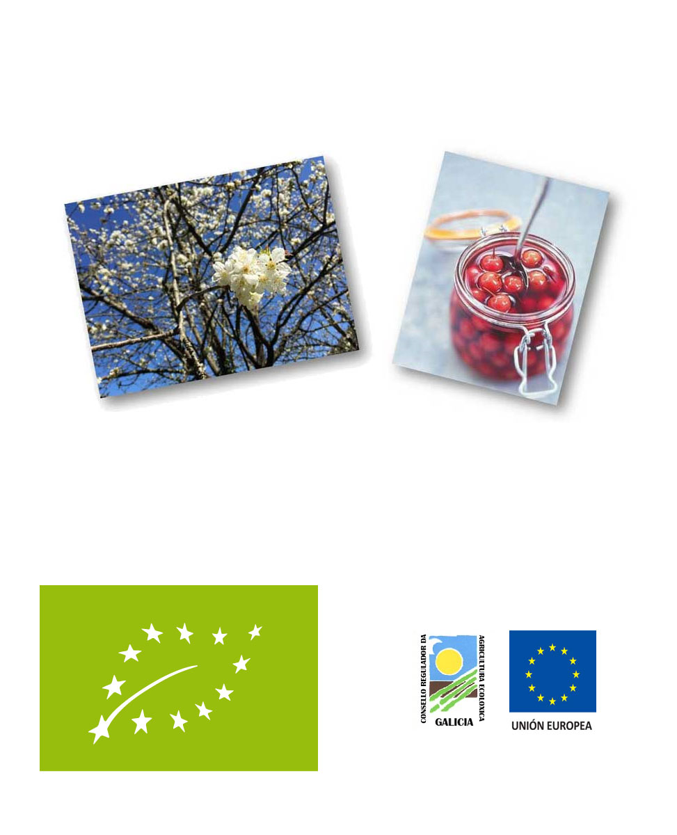 Featured Image Thumbnail